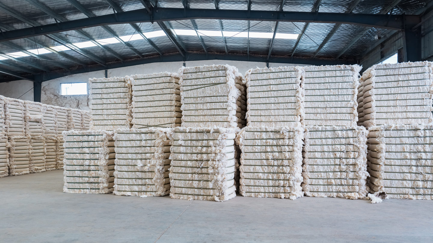 Cotton growers process diversification